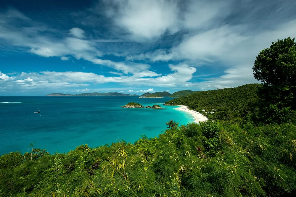 A palm tree covered island in the Caribbean, with a sandy white shoreline, and stunning blue water