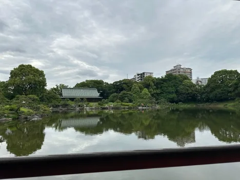 Pond with trees and building behind it