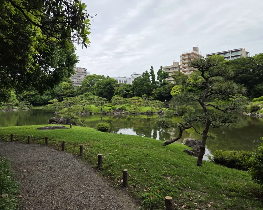 Walkway and lake, small forest in the background. City in buildings behind the forest.