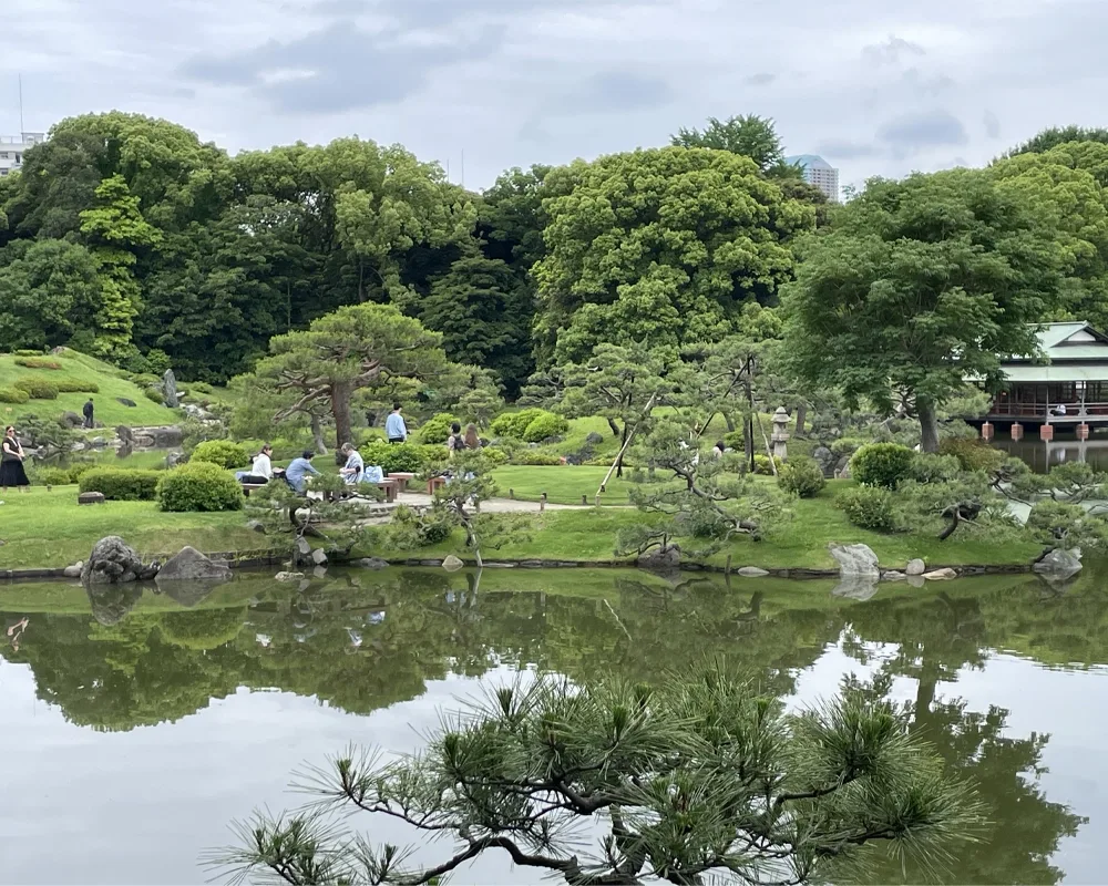 Pond in Garden