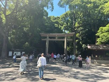 Wide angle photo of a Torii, it leads from a crowded urban space into a sprawling forest space.