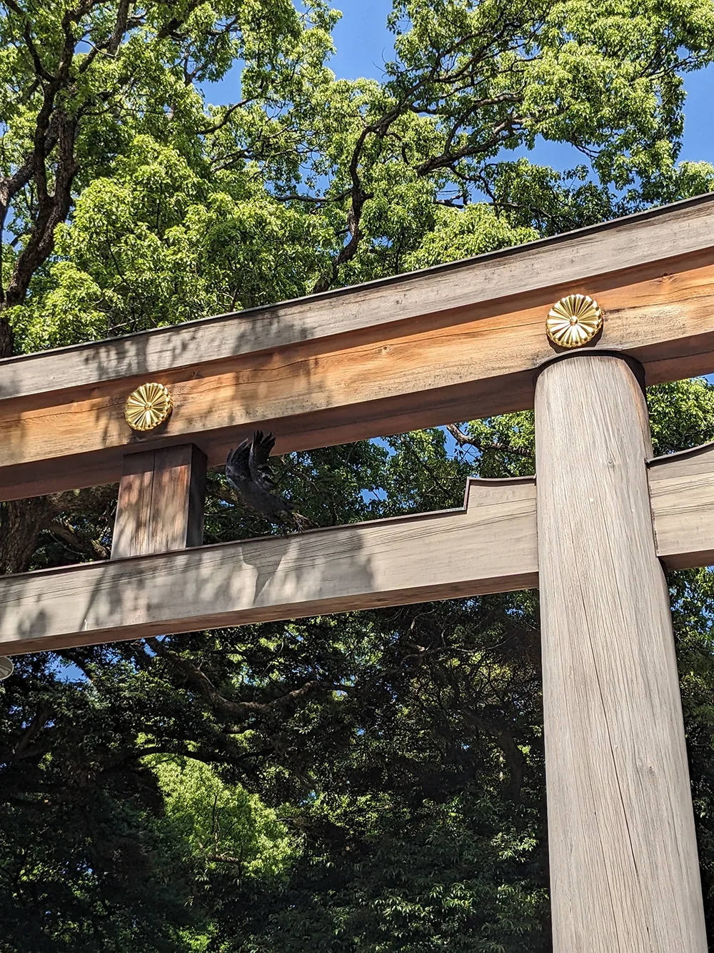 Torii gate with a crow taking off from its perch.