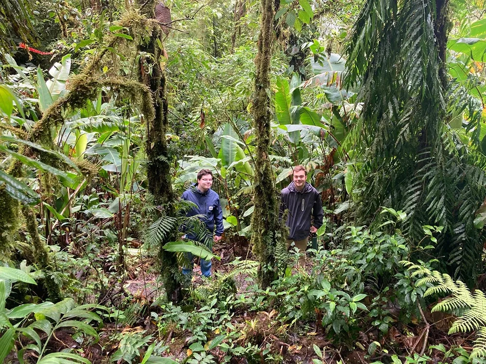Two student stand among tall, vine-covered tree trunks in Manuel Antonio National Forest, Costa Rica.