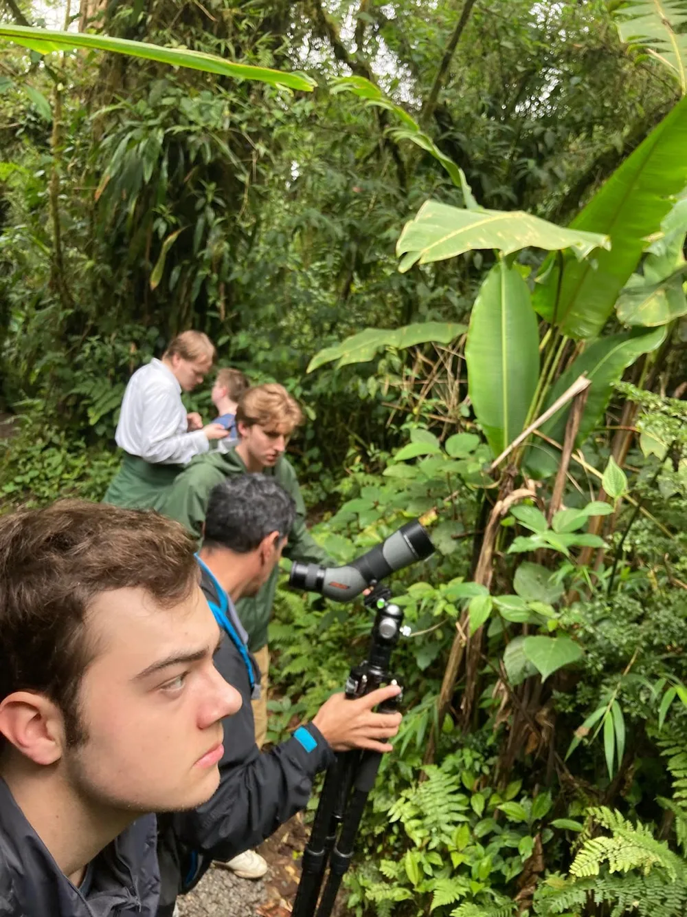 A side view of four people examining the lush plant life in Manuel Antonio National Forest, Costa Rica. The second student in the line is holding a camera on a tripod.