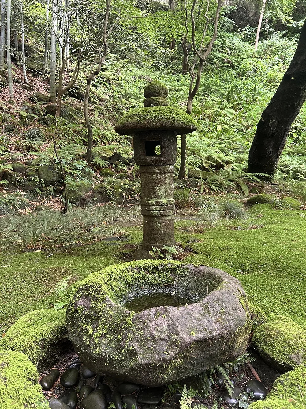 A stone basin with moss growths, a shallow pool of water has settled in it.  Behind that is a small statue/shrine that is also covered in moss.