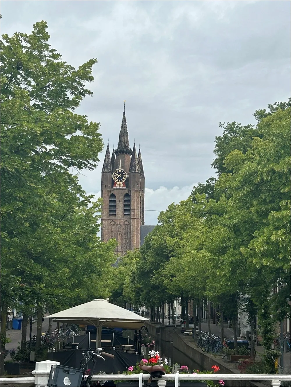 photo of a Church bell Tower rising behind trees lining a canal and street lined with bicycle