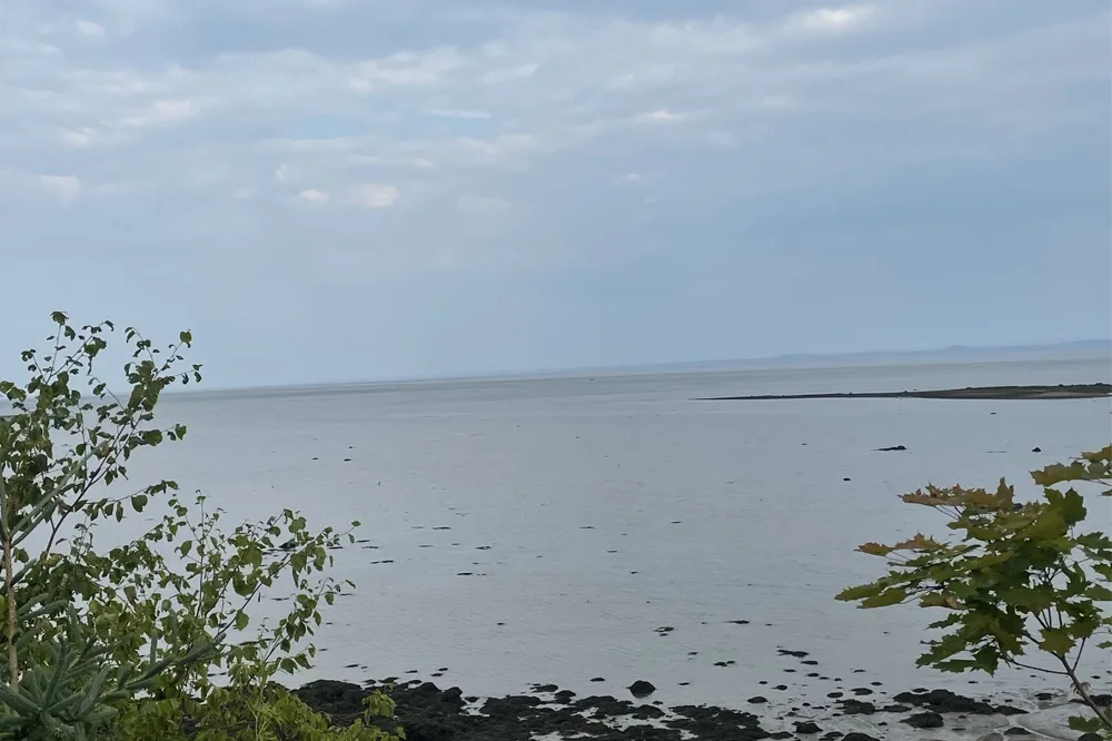 Trees frame a roacky coast of a bay