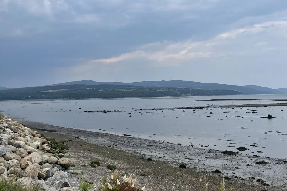 a coastline with rocks at low tide