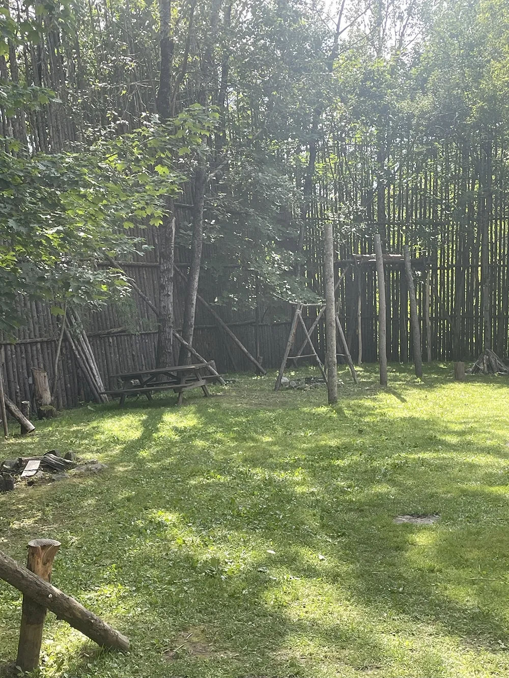 A grassy area with a table and a tall fence