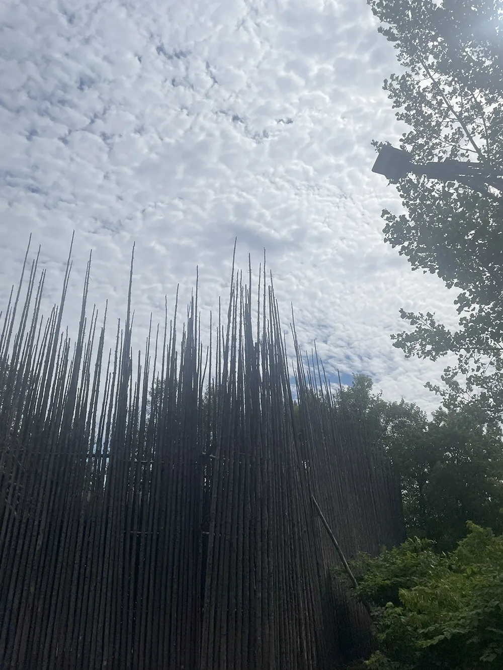 A tall wooden fence with trees and the sky
