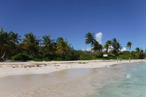 a white sand beach with turquoise waters and palm trees