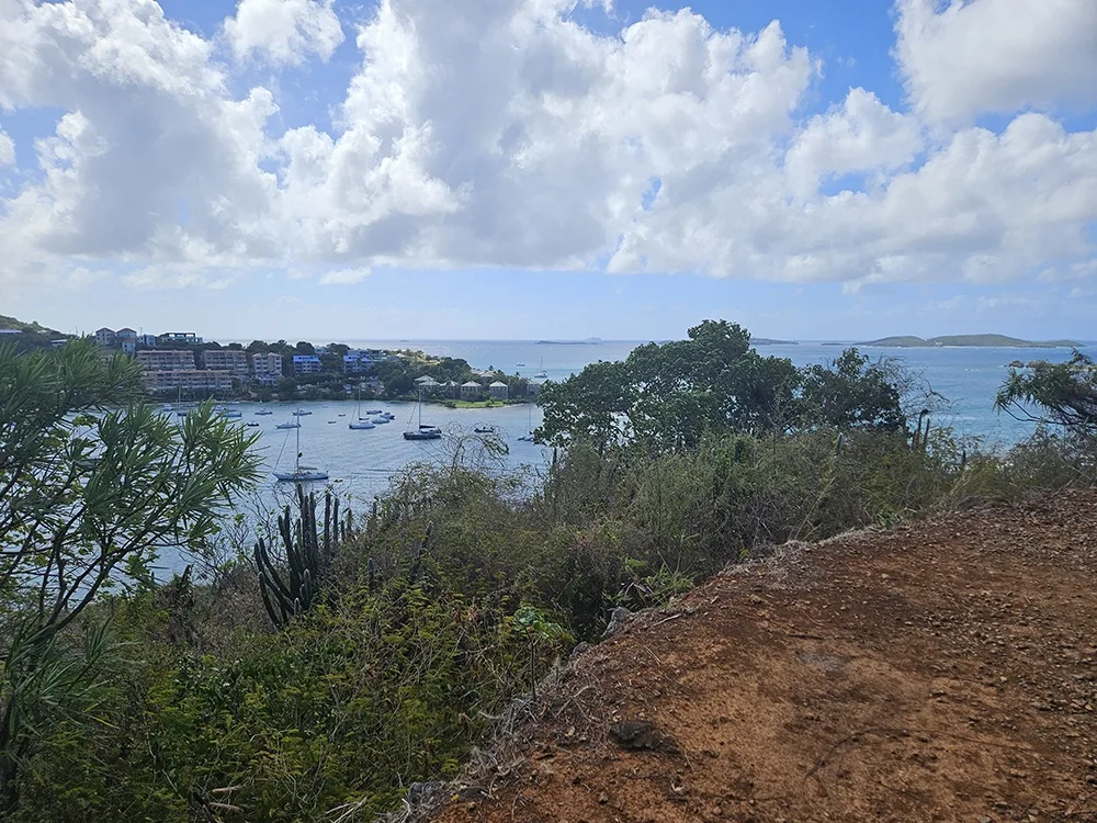 hilltop view overlooking a harbor with several boats and building behind