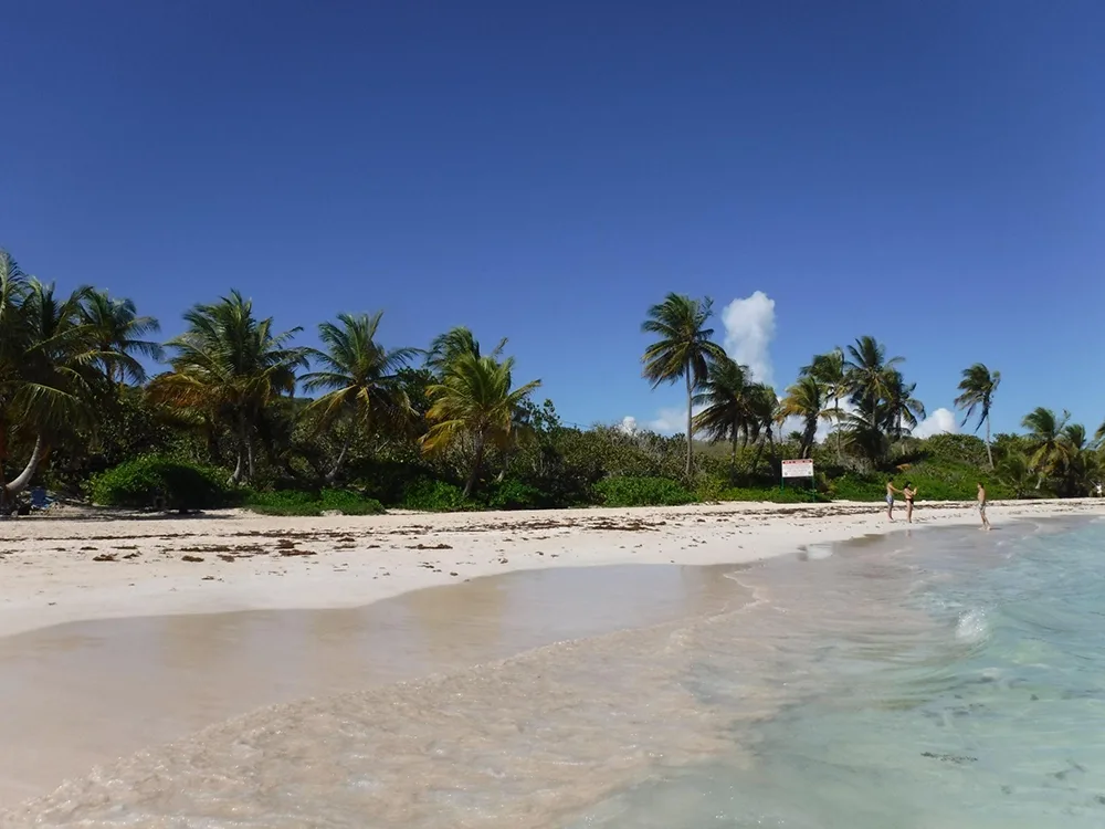 a white sand beach with turquoise waters and palm trees