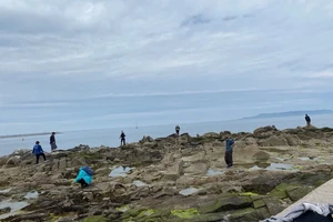 Students on the rocks and looking in the tidepools at Sandycove