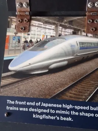 Poster of Bullet Train that explains how the train was modeled on the beak of the Kingfisher