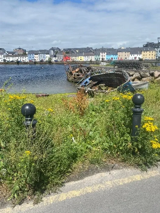 A picture of old defunct fishing boats against a backdrop of the bay and houses across.