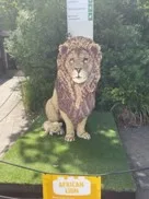 life sized replica of a male lion with a cub at its side. A yellow sign saying African Lion hangs in front