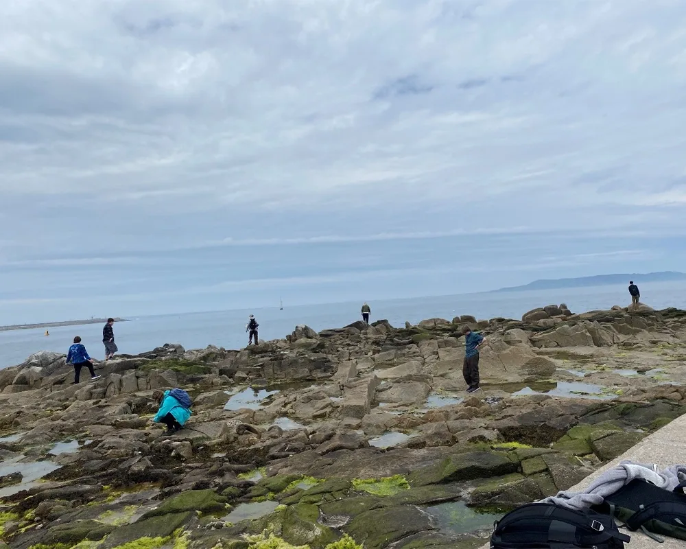 Students on the rocks and looking in the tidepools at Sandycove