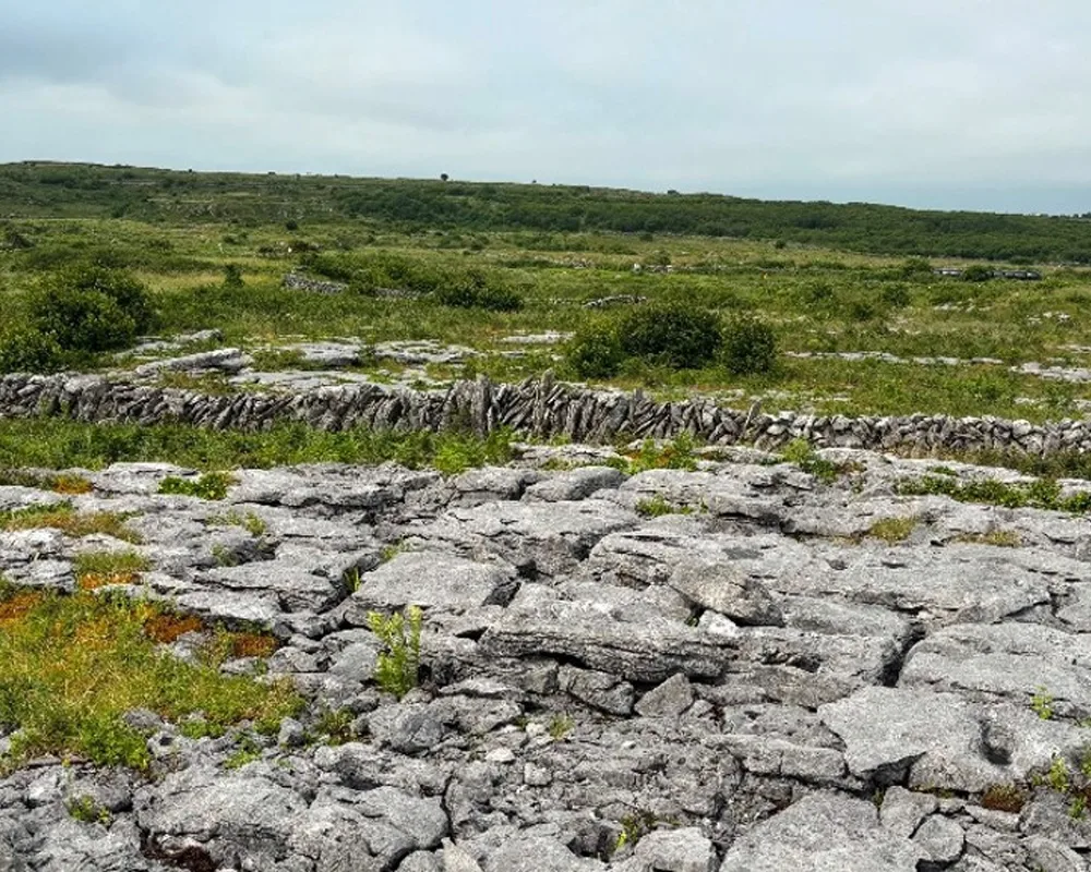 Rock formation and rock wall from Poulnabrone Dolmen green fields and hills in the distance