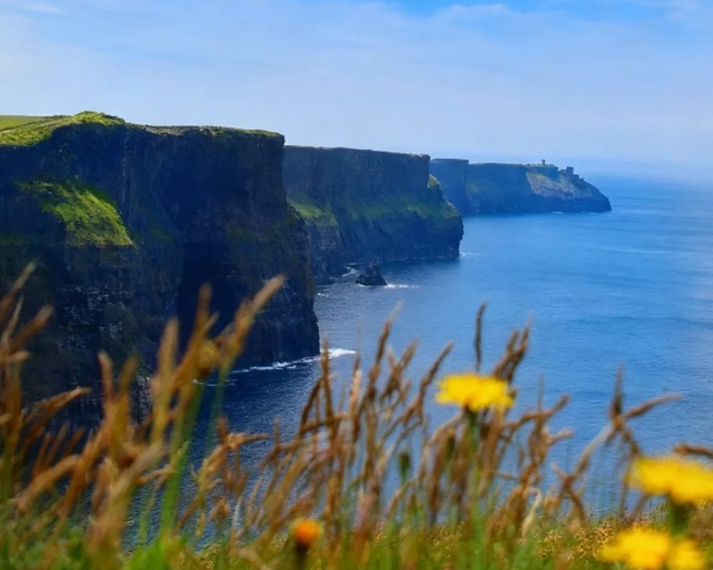 View of Cliffs and water over greenery and flowers