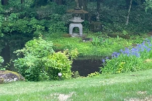 A Japanese garden.