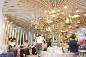 Several people gather in a stylish space featuring brass hanging spots for cats to sleep.
