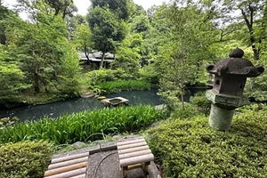 Water and plants in a Japanese garden.