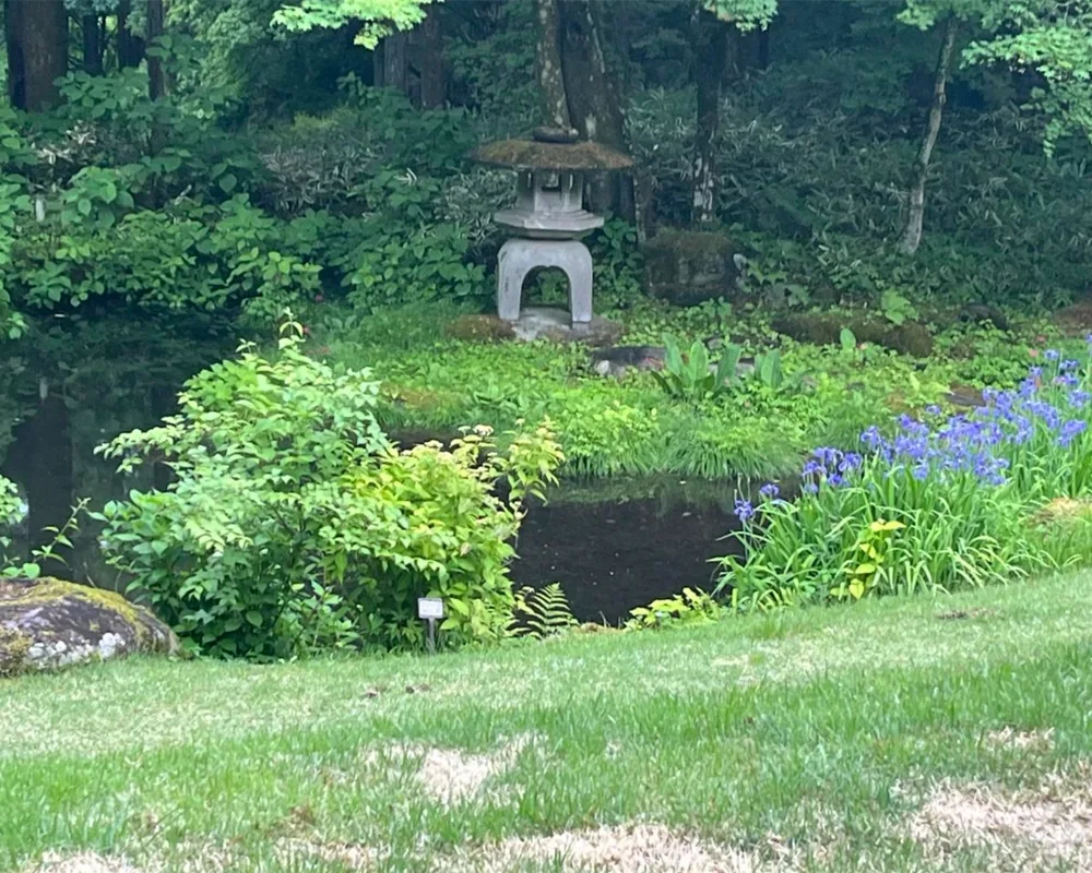 A Japanese garden.