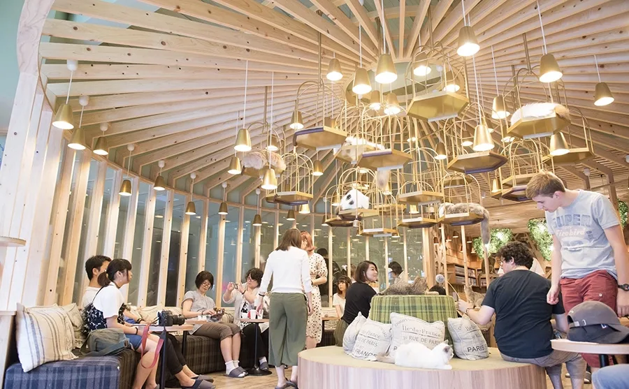 Several people gather in a stylish space featuring brass hanging spots for cats to sleep.