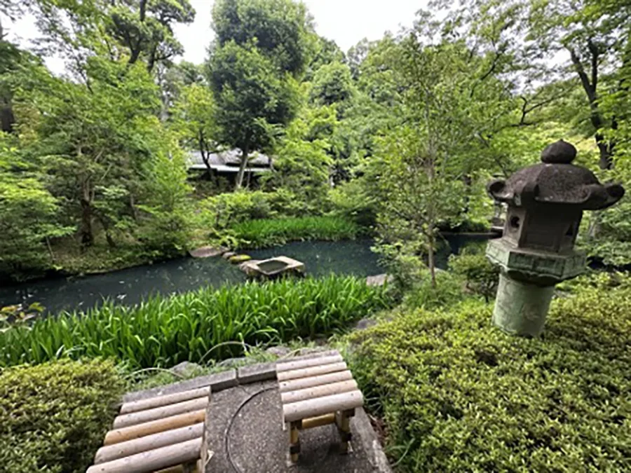 Water and plants in a Japanese garden.