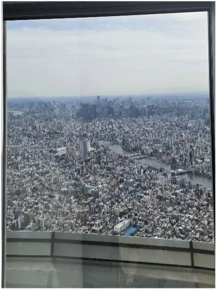 A view of the city of Tokyo from high above. Dense urban buildings and a river are seen.