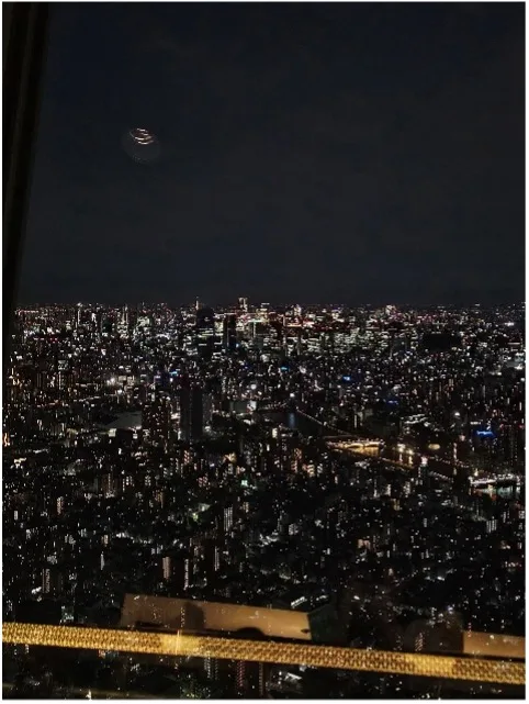 Night view over the city of Tokyo. The sky is black and buildings are lit up.