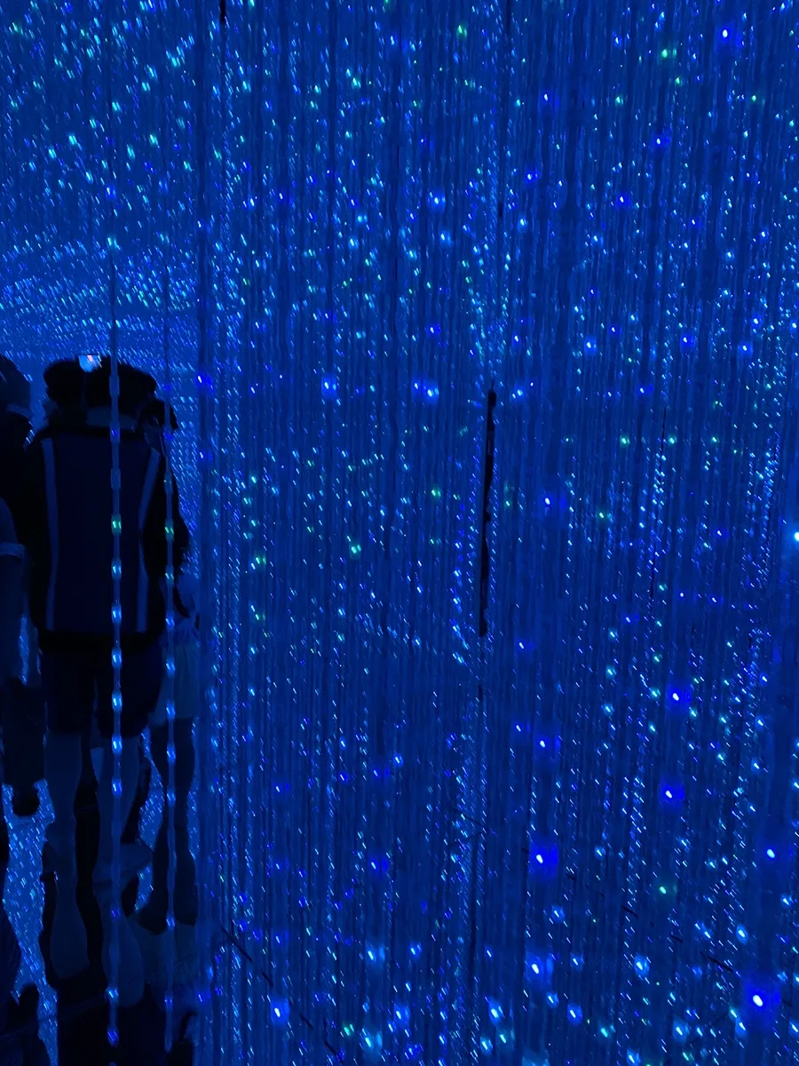 People moving among Strands of blue lights.