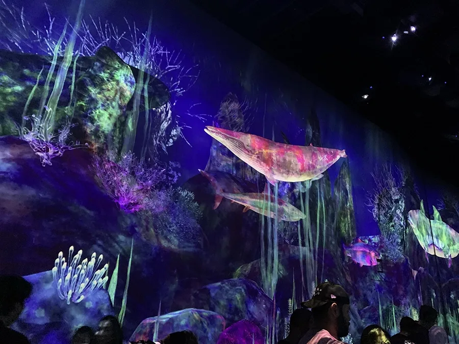 A colorful projection of a whale swimming in the sea.
