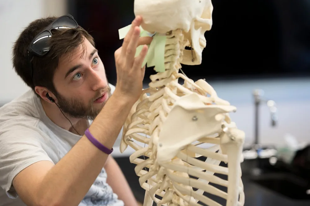 A student applying post-its to a life size skeleton in a lab.