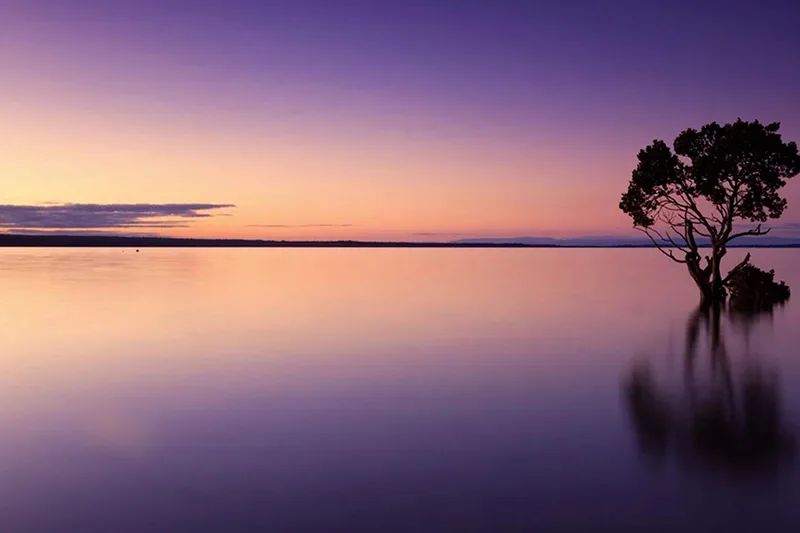 An orange and purple sunset over a calm lake with a dark silhouette of a tree.
