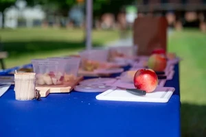 An outdoor apple and cheese tasting table with whole apples and, in plastic containers, cut-up apples and samples of cheese. There is a container of toothpicks. A lawn and a building can be seen in the background.