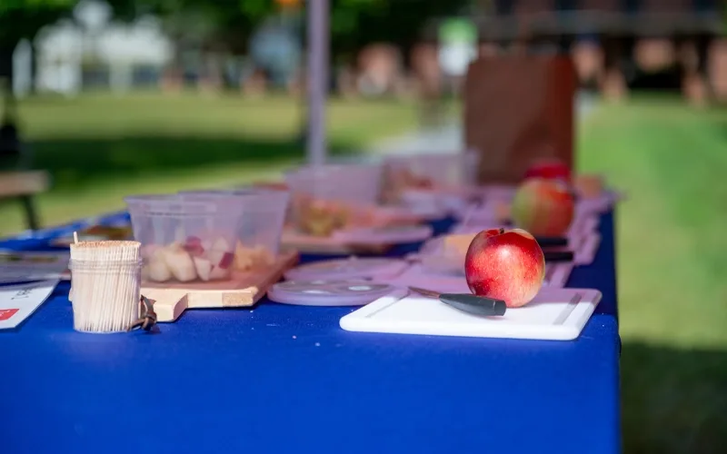 An outdoor apple and cheese tasting table with whole apples and, in plastic containers, cut-up apples and samples of cheese. There is a container of toothpicks. A lawn and a building can be seen in the background.