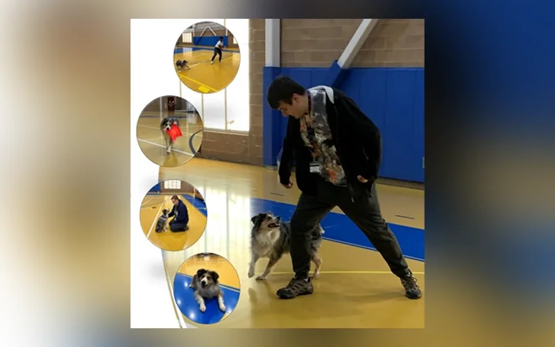Mazie the border collie running around a student's leg in the gym.