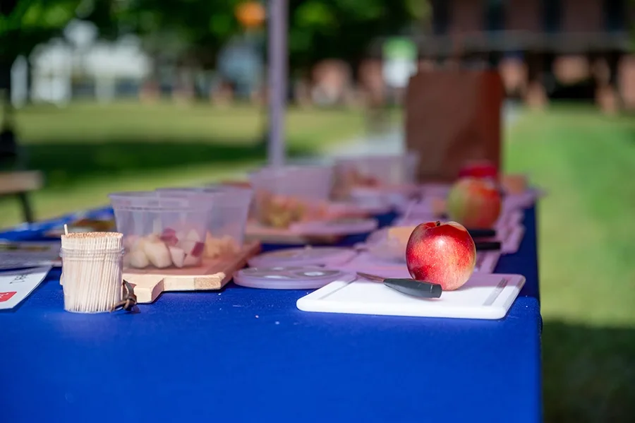 An apple and cheese tasting booth with whole apples, cut-up apples in plastic containers, and toothpicks for sampling.