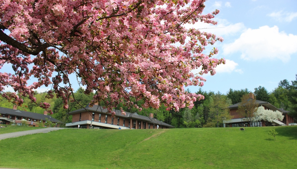 Pink flowering crabapple and view of upper campus.