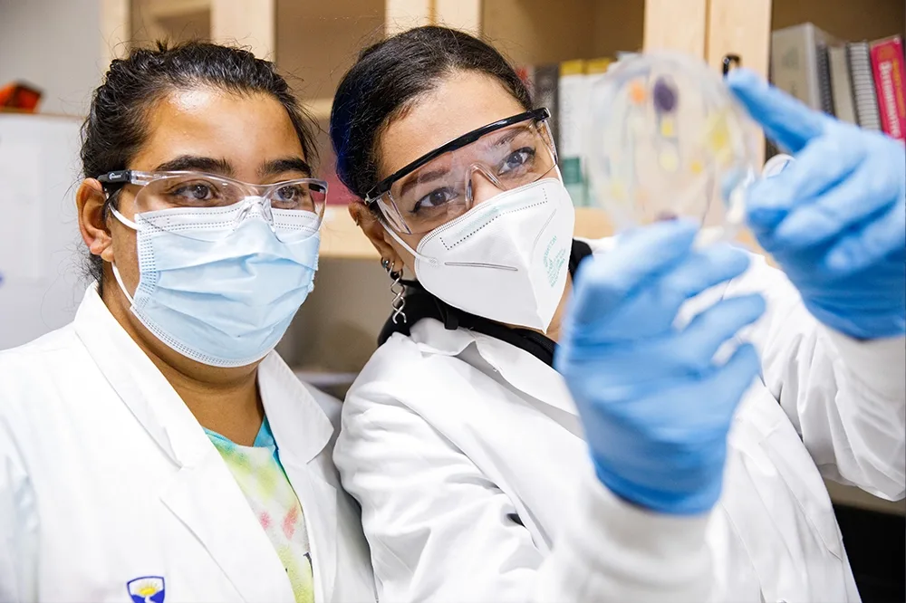Two students looking at a petri dish.