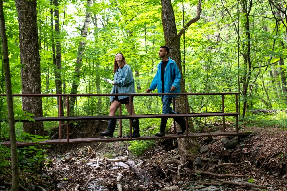 students-walking-in-woods.webp